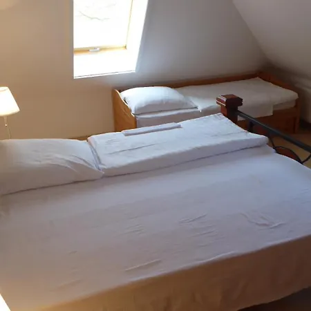 Gut Rattelvitz - Galerie West * Gingst