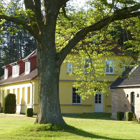 Gut Rattelvitz - Galerie West Gingst