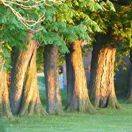 Διαμέρισμα Gut Rattelvitz - Galerie West Gingst