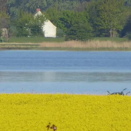 Gut Rattelvitz - Galerie West Διαμέρισμα Gingst